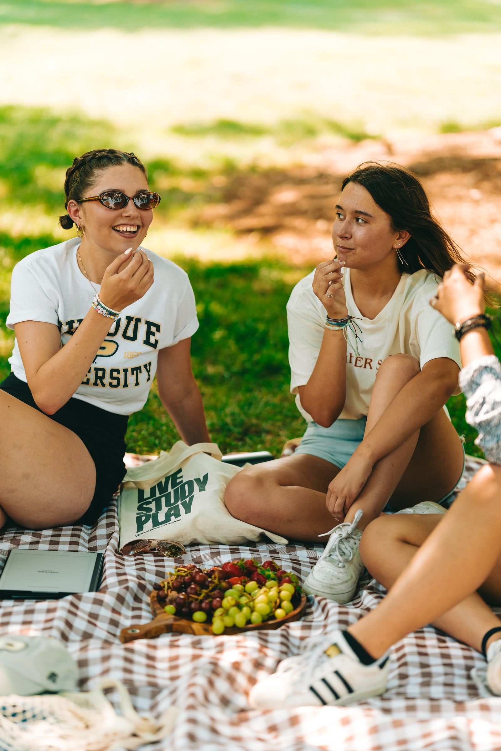 A group of people sitting on a picnic blanket under a tree, enjoying fruit and snacks on a sunny day.